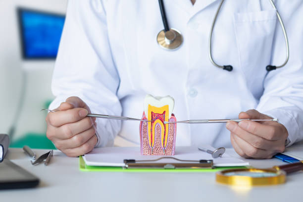 Best Emergency Wisdom Teeth Removal in Hahnville, LA